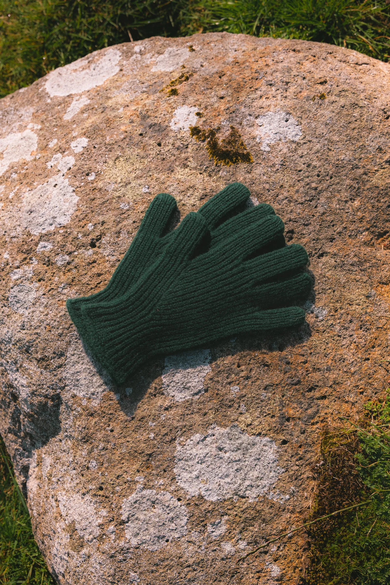 Braemar Gloves in Pine Lambswool