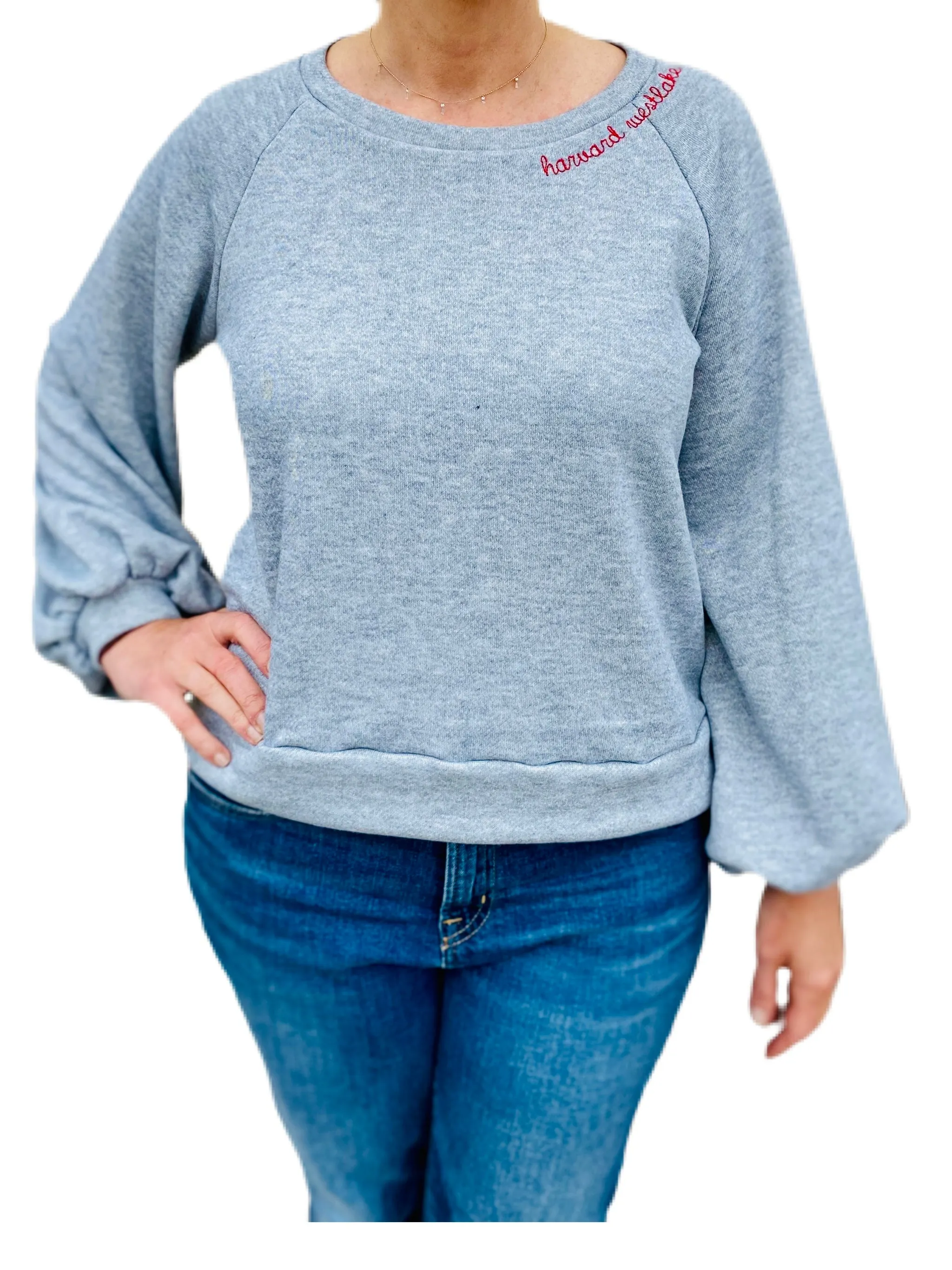 School sweatshirts embroidered sweatshirt-youth sizes unisex