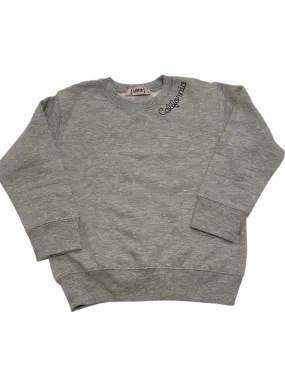 School sweatshirts embroidered sweatshirt-youth sizes unisex